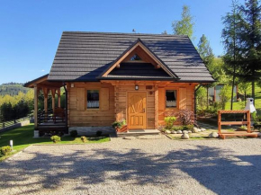 Borowikowe Zacisze drewniane domy z dostępem do balii i sauny, Falsztyn